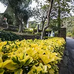 Rec De Palau קדאקז