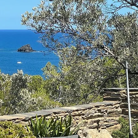 乐客帕劳别墅 酒店 卡达克斯